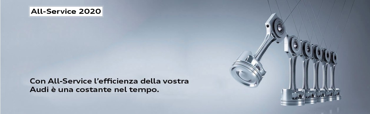 sani-audi-allservice