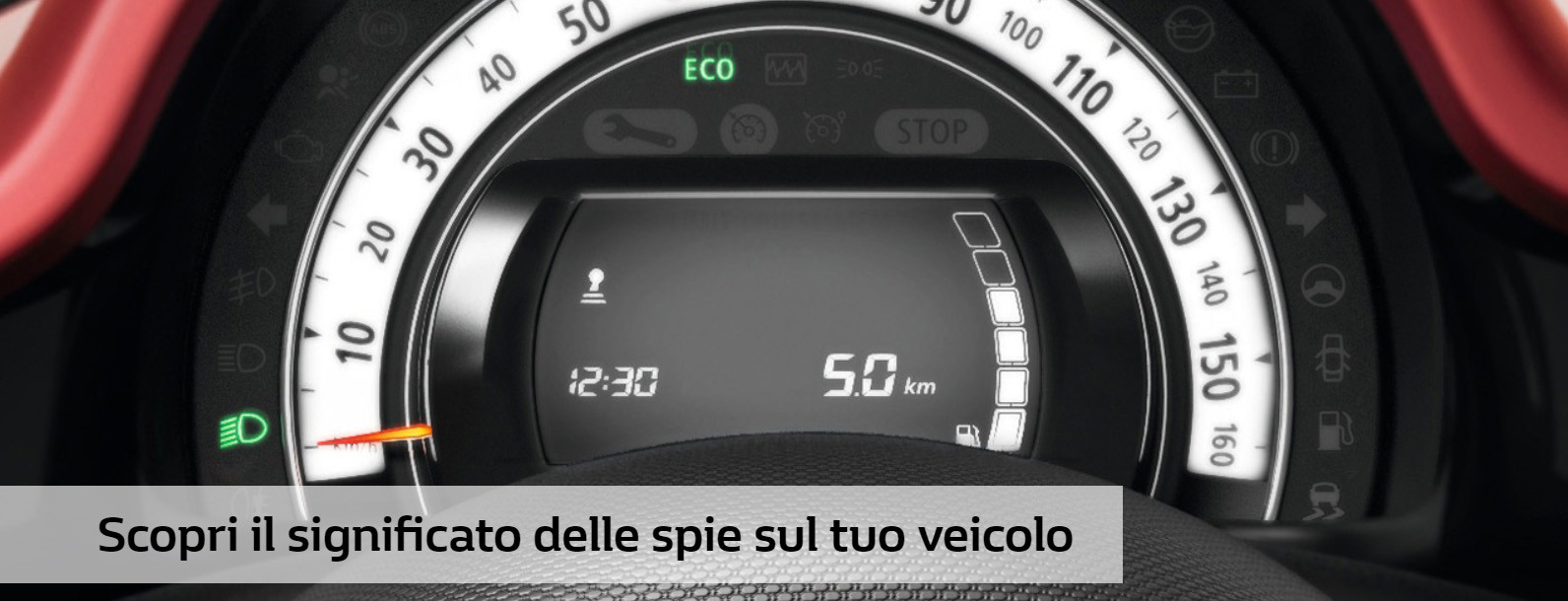 spieok