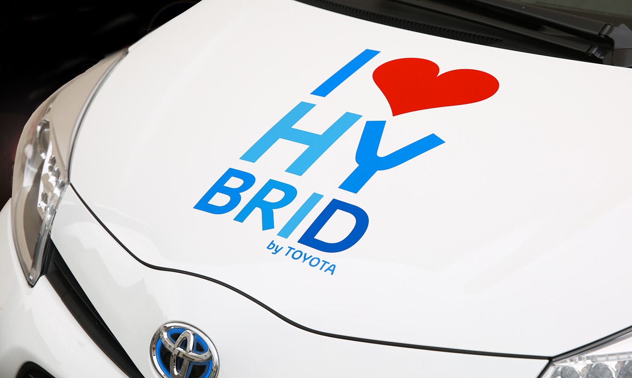 hybrid-428183_1280