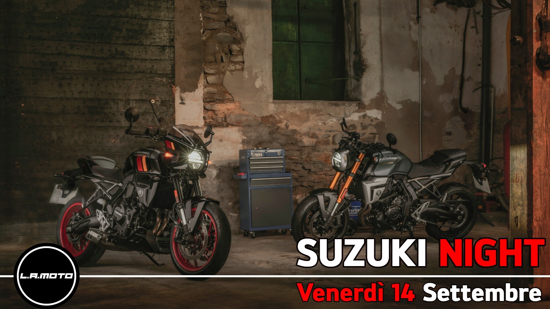 suzuki-night