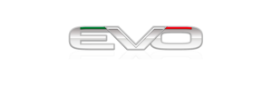 logo_auto_evo-300x94