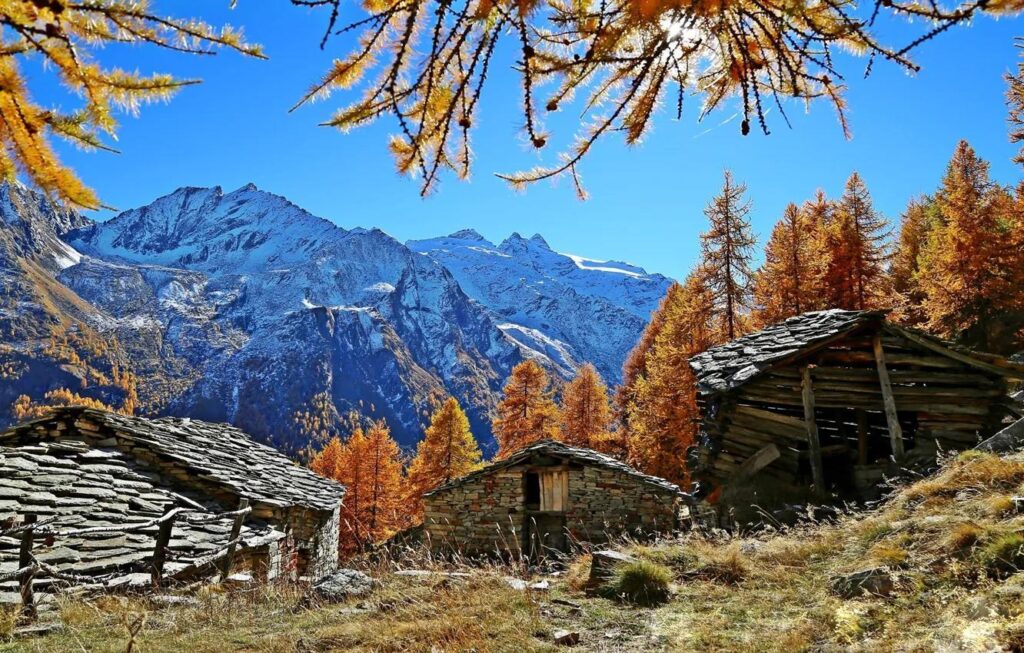 cogne_foliage