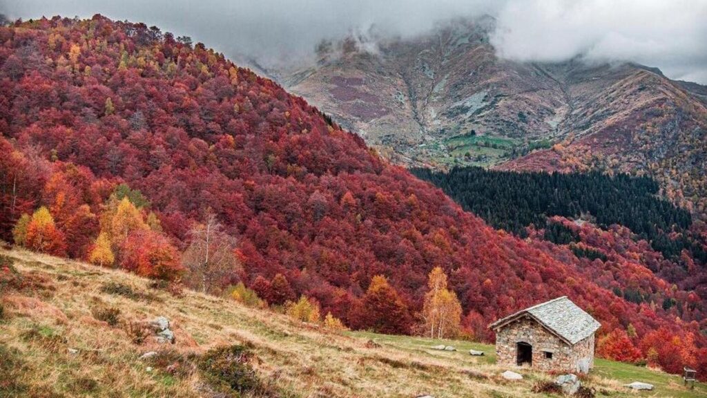 oasi_zegna_foliage