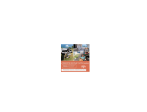 immagine-2025-07-03-154347