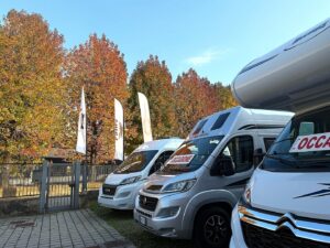 immagine-whatsapp-2025-10-16-ore-16-38-16_45062b21