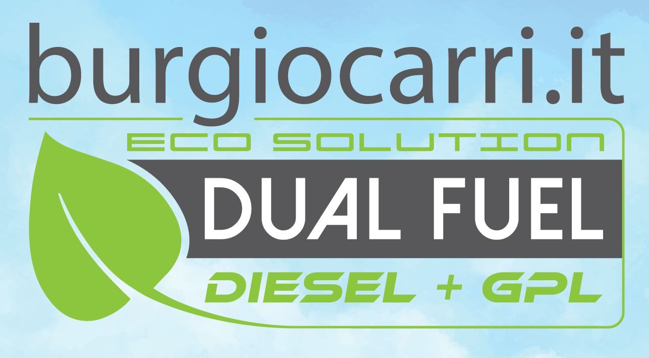 logo-ddf_burgio