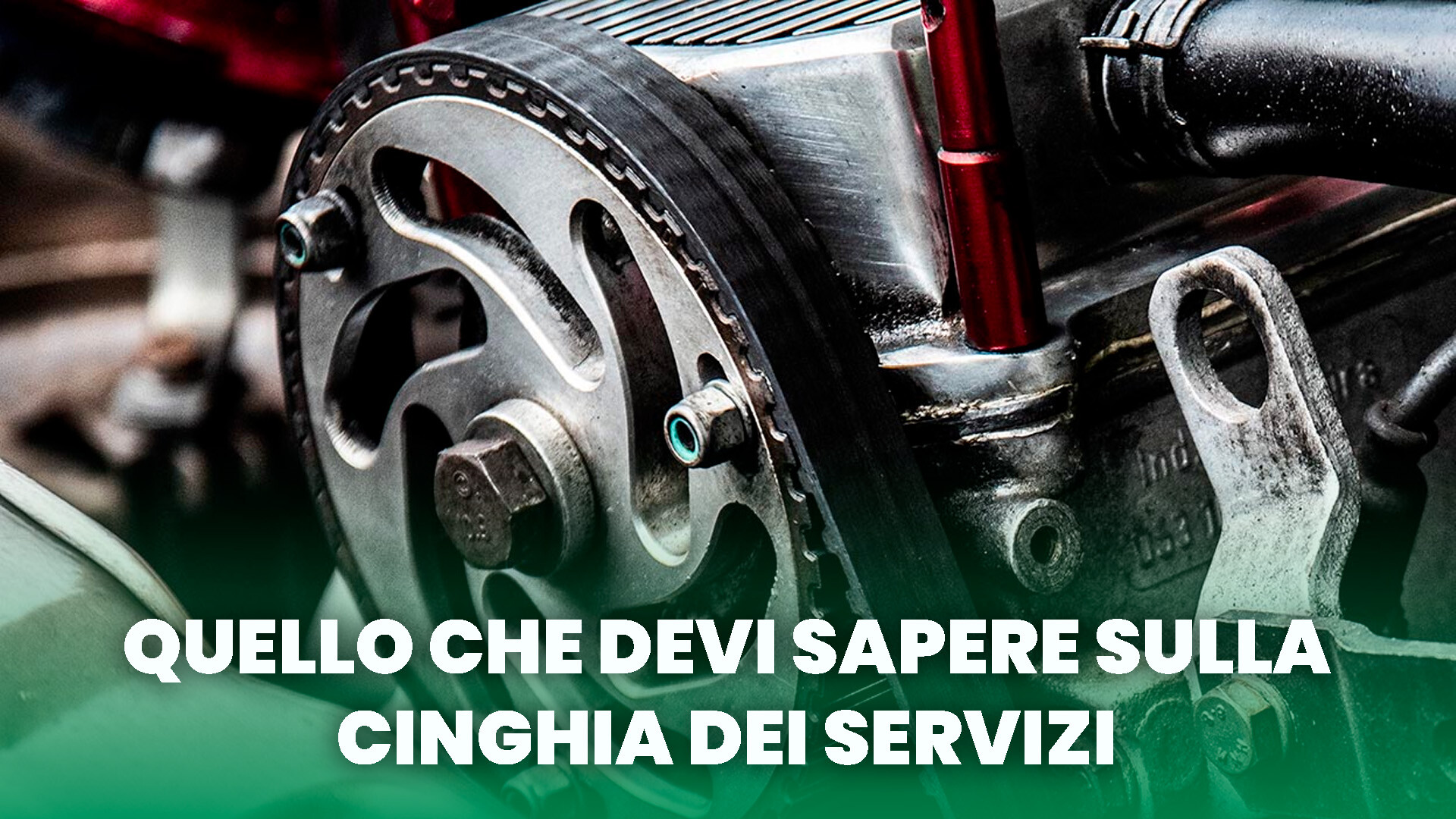 Cinghia Servizi Tutto Quello Che C Da Sapere Burgio Carri Srl