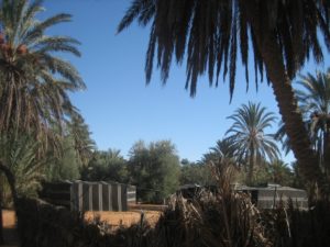 abumama-raid-k-tour-tunisia_101