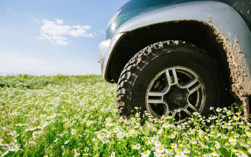 Frühlingscheck Ihres Autos bei Autoplus in Eppan, Bozen, Südtirol. Umfassende und genaue Kontrollen, sowie Hygienisierung der Klimaanlage und Reifenlagerung und Reifenwechsel.