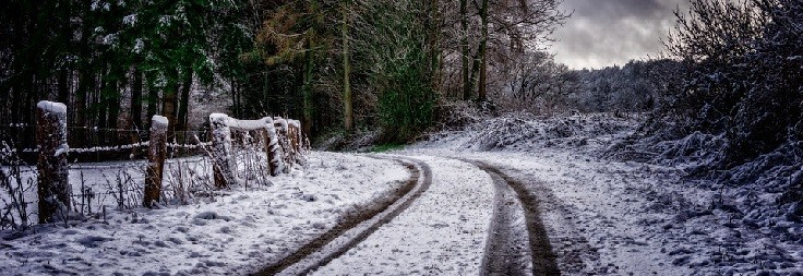 pneumatici invernali cosa sapere